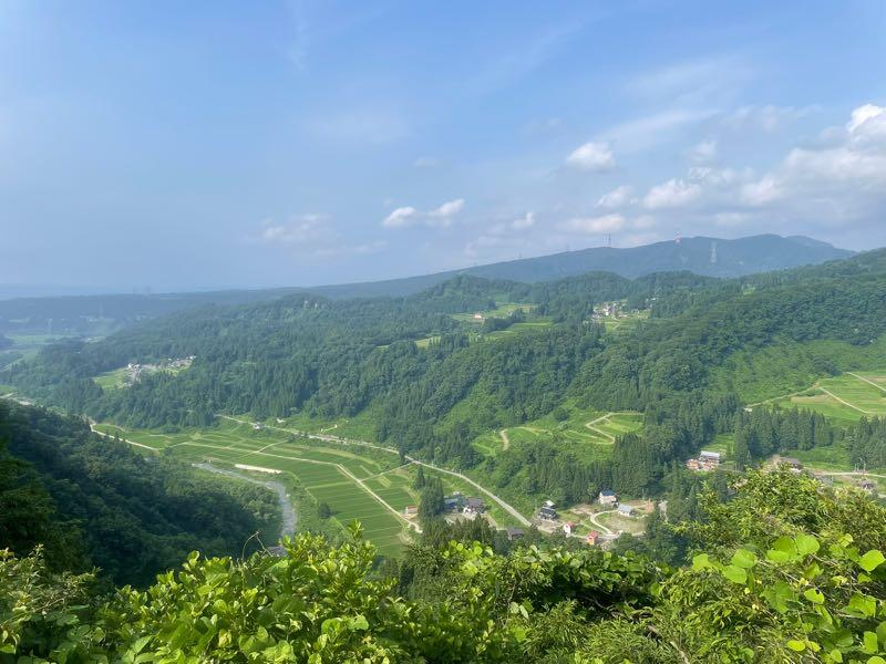 mt-20250706155536.jpg